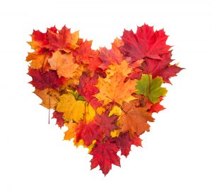 Autumn heart symbol isolated on white background