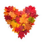 Autumn heart symbol isolated on white background